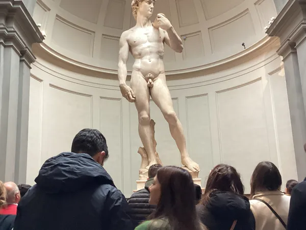 Accademia Gallery & David Private Tour