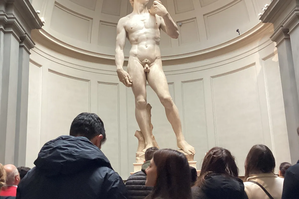 Accademia Gallery & David Private Tour — photo 1