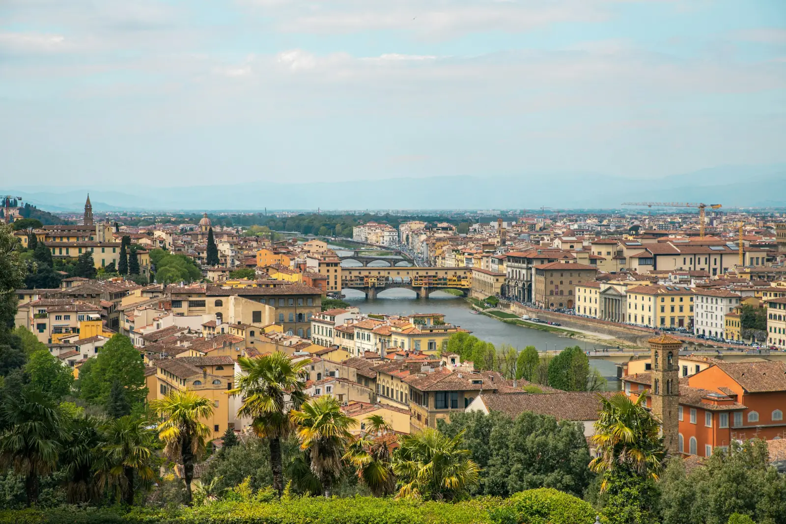 David Accademia Gallery Small-group Tour 1 hr